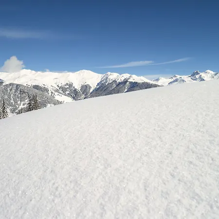 Résidence Pierre&vacances Premium Les Du Forum 4*