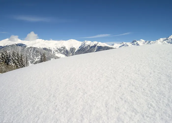 Pierre & Premium Les Du Forum 4*